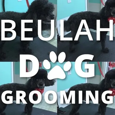 BeulahDogGrooming profile