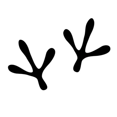 Beutejagd.com profile