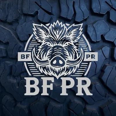 BF×PR ®🇧🇷🏁 profile