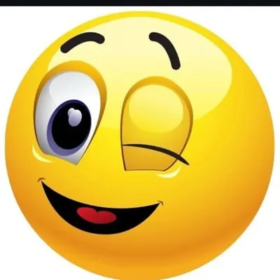 ๐๐๐๐๐ข ๐คฃ๐๐ ๐ ๐๐๐ ๐คฃ profile
