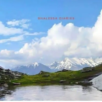 Bhalessa Diaries🔵 profile