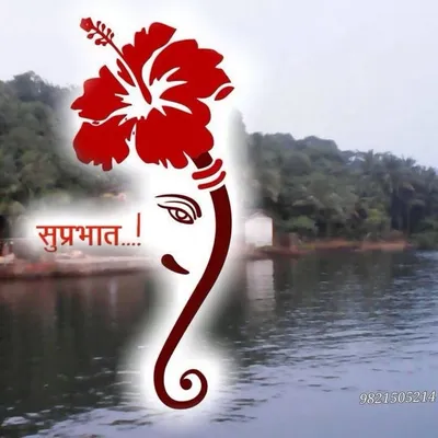 bhanu profile