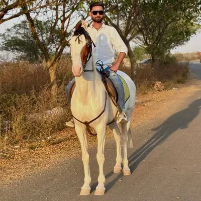 Bhavesh Sabhad profile