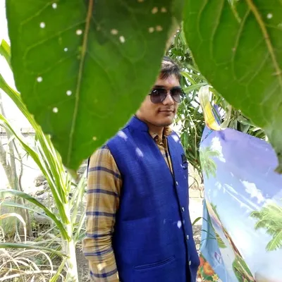 bhavya Gondaliya profile