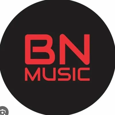 BHERU NATH MUSIC ⭕️ profile