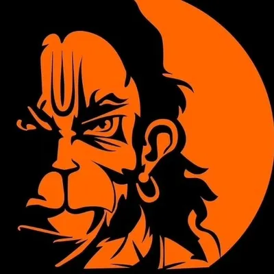 सनातनी हिंदू 🚩 profile