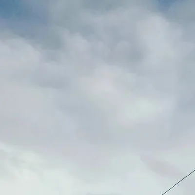 bon apetite profile