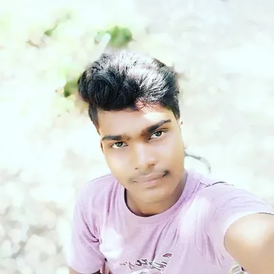Bibhu prasad Pattnayak profile