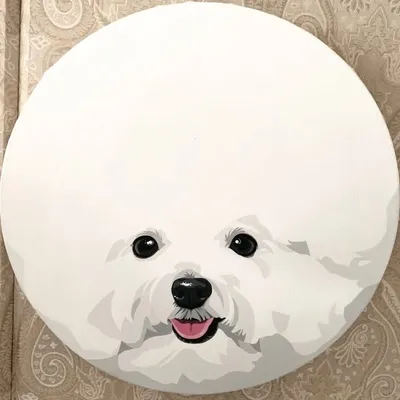 ๐แแ
ตแแ
ญแผแแ
ฉแ
แ
ต๐ถ profile