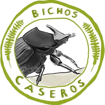 Bichos.caseros profile