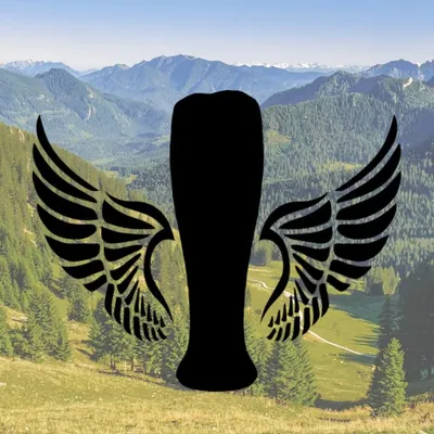 BIERBIESLER profile