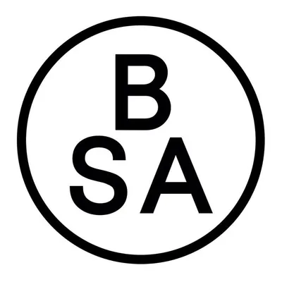 Bière Sans Alcool (BSA) profile