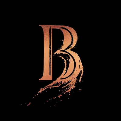 Bies Media profile