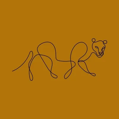 Big Cats & Nature Photography™️ | Safari | Travel profile