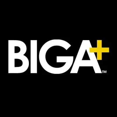 BIGAPLUS profile