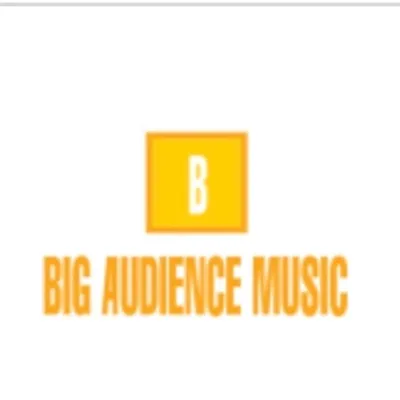 Bigaudiencemusic profile