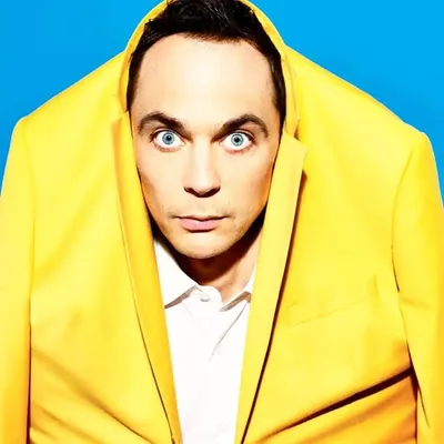 The Big Bang Theory Universe profile