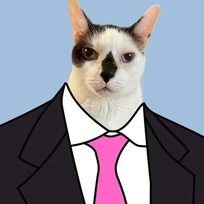 BARSIK ๐พ The Chonky AntiMLM Spokescat profile