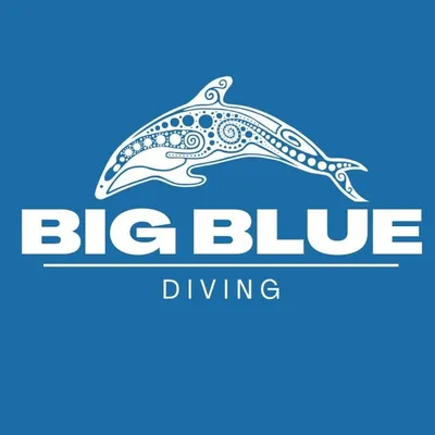Big Blue Diving | Scuba Diving in Koh Tao profile