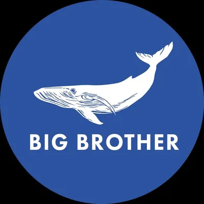 Surfing in Bali 🌴 Surf school & camp & adventure Школа серфинга profile