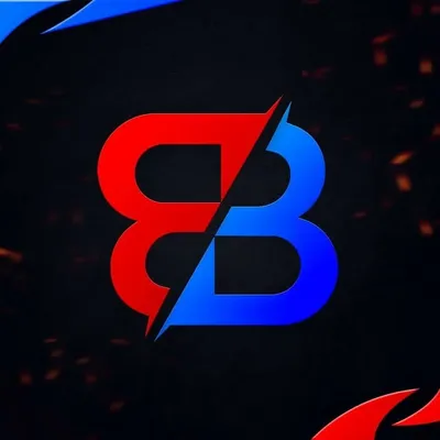 BIG BROTHER ESPORTS profile