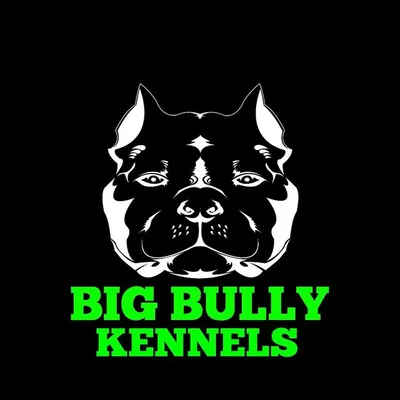 Big Bully UK profile