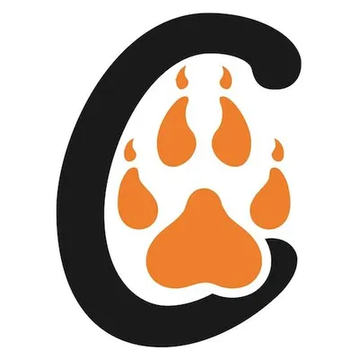 Big Cats India 🐅Tiger Safari Experts profile