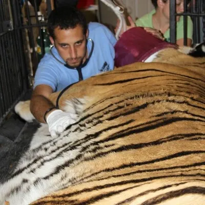 Dr. Justin Boorstein