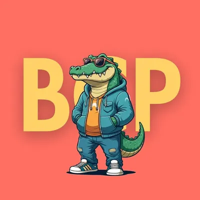BCP SPORTS profile