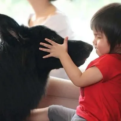 🐶Big Dog Café คาเฟ่หมาใหญ่ใจดี profile