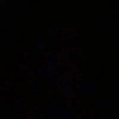 Frances Tiafoe profile