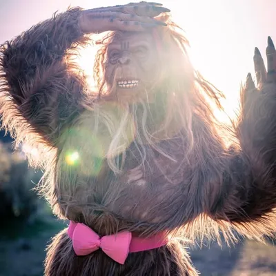 Bigfoot Bae profile