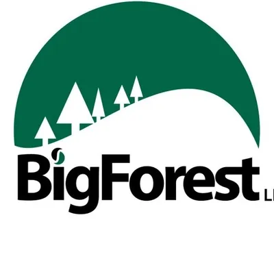 BIGFOREST LLC profile