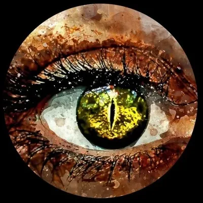 Bigg Boss FC profile