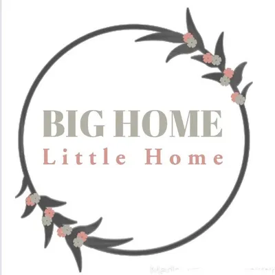 Bighomelittlehome profile