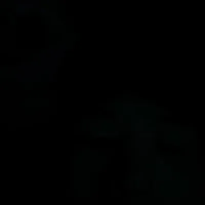BM 비엠 profile