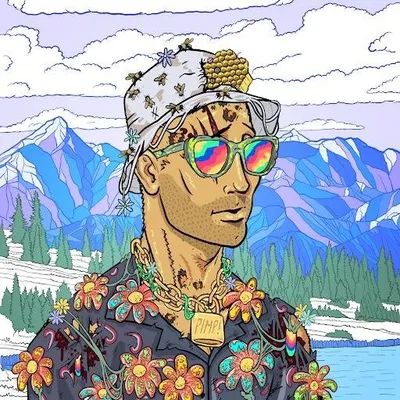 Meta Solo 💰 profile