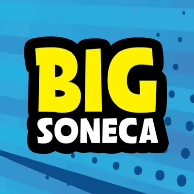 Big Soneca profile