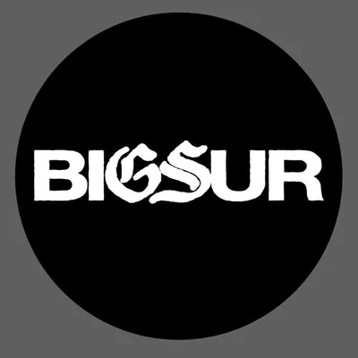 Big Sur Company profile