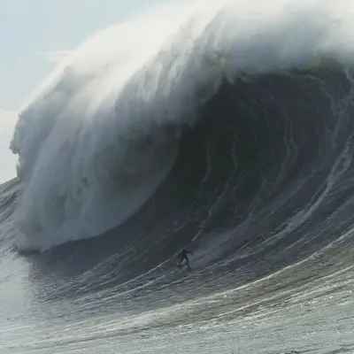 Big Wave Tour ๐ profile
