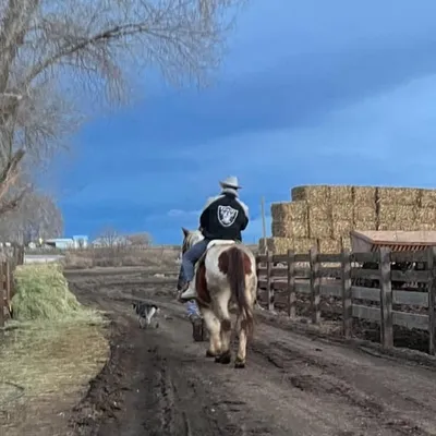 Jordan Dascalo profile