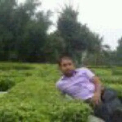 Bikash Kumar profile