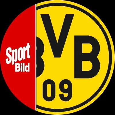 Bild BVB profile
