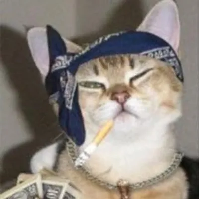 funny billi profile