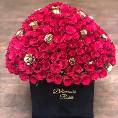 Billionaire Roses ™️ profile