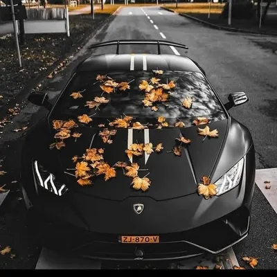 luxury lifestyle profile