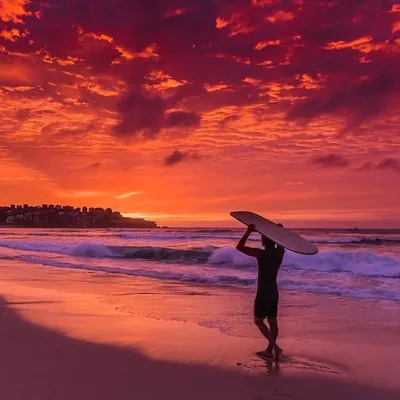 Surfing & The Ocean Landscape profile