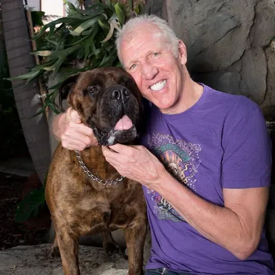 Bill Walton profile