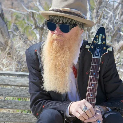 Billy F Gibbons profile