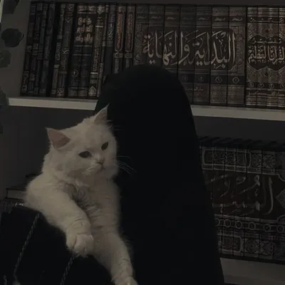Bint-e-Ibrahim profile